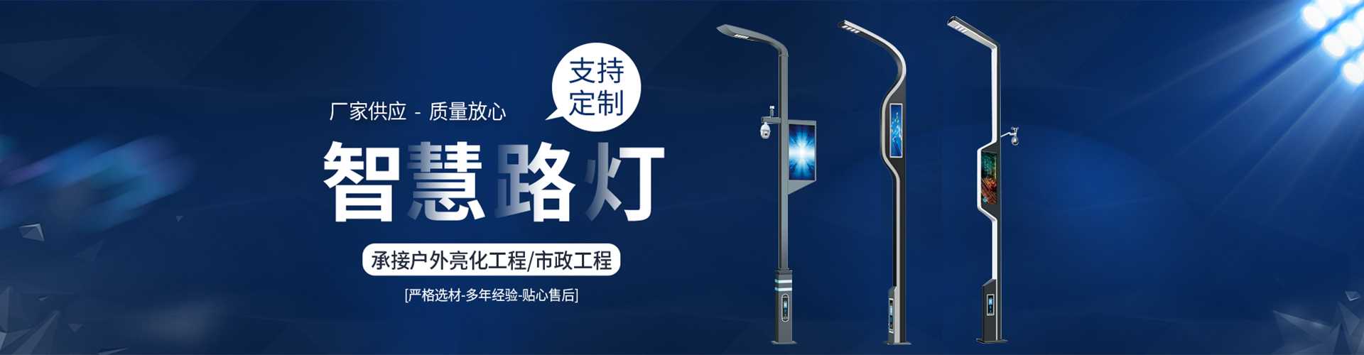 肥东县太阳能路灯定制厂家