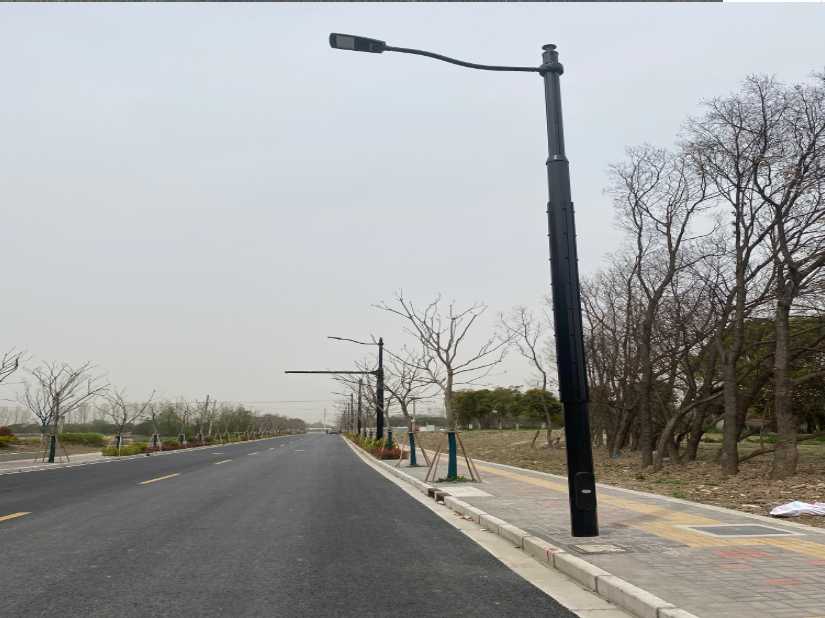 肥东县上海综合杆 太阳能路灯工程